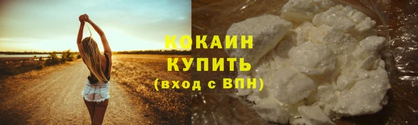шишки Надым
