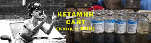 шишки Надым