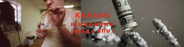 индика Вязники