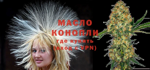 шишки Надым