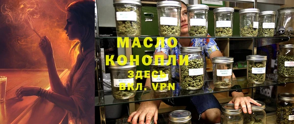 шишки Надым