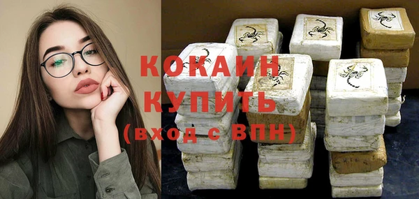 шишки Надым
