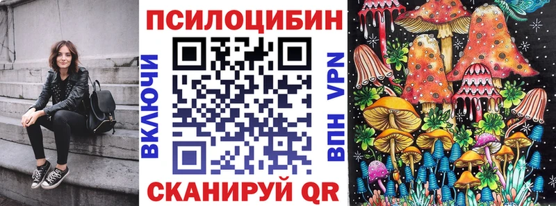 hydra ONION  Нелидово  Псилоцибиновые грибы Psilocybine cubensis 